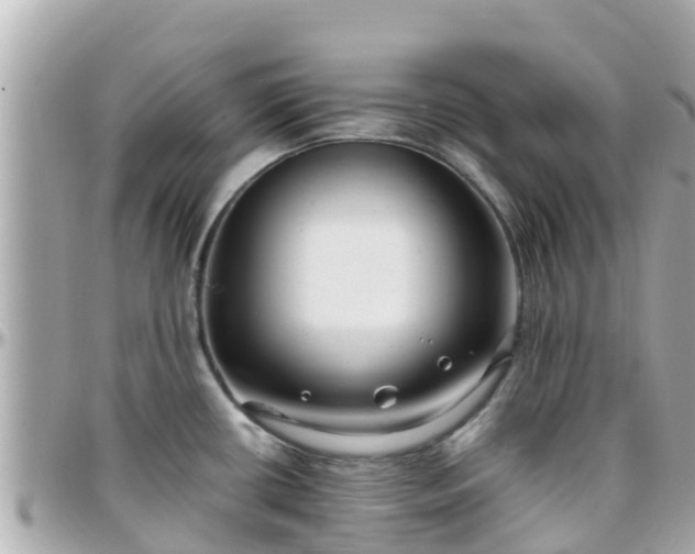 X0000096211434200801251024