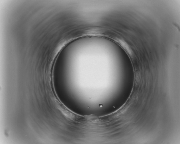 X0000096211435200801251024