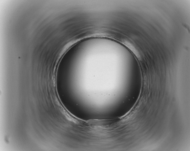 X0000096211436200801251024