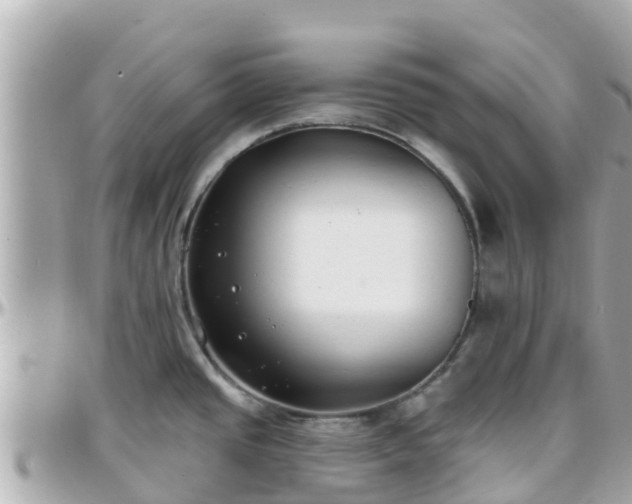 X0000096211437200801251024