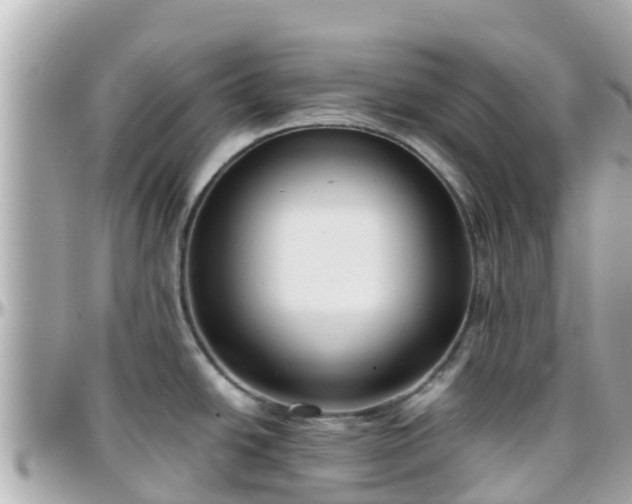 X0000096211438200801251024