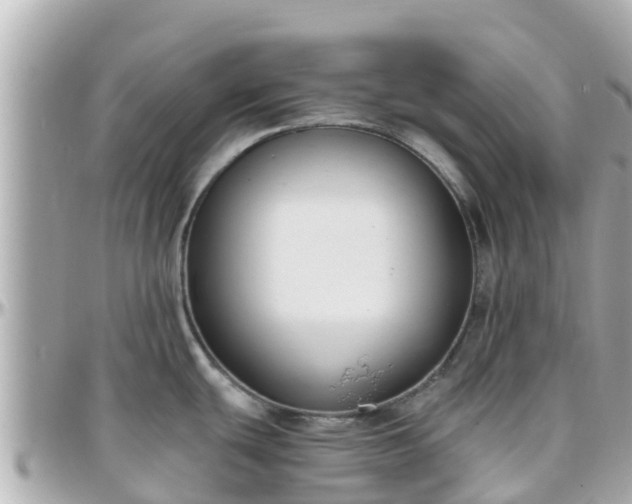 X0000096211439200801251024