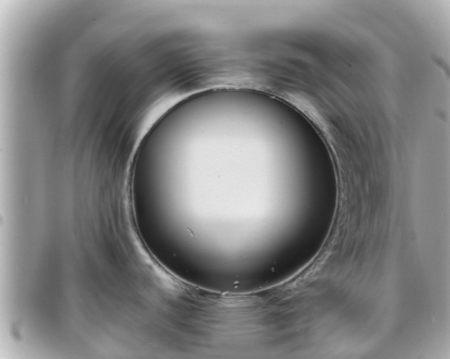 X0000096211440200801251024