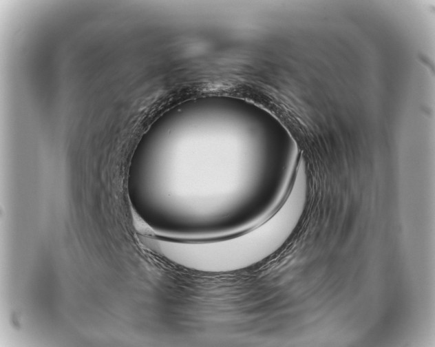 X0000096211441200801251024