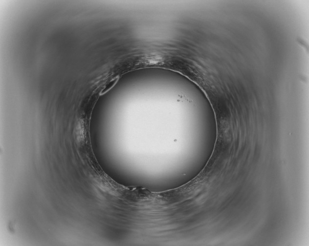 X0000096211442200801251024