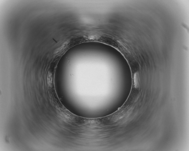 X0000096211443200801251024