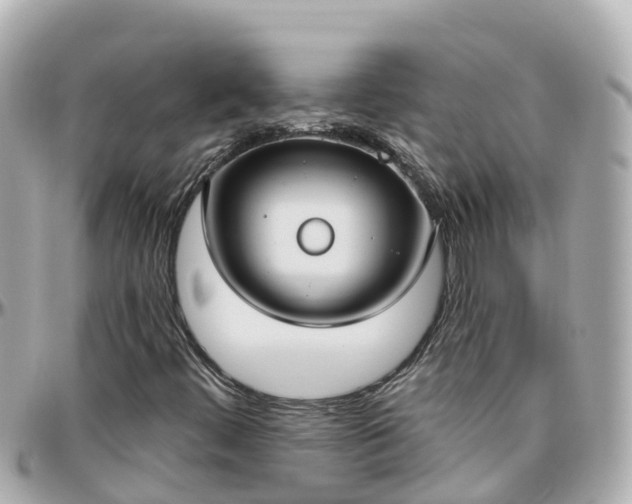 X0000096211444200801251024