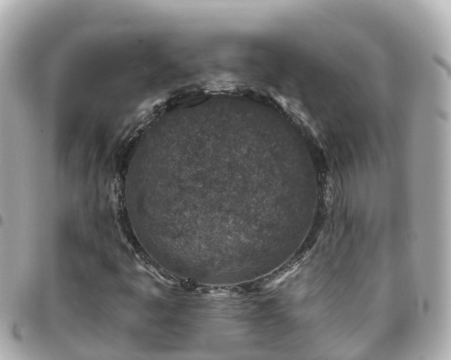 X0000096211445200801251024