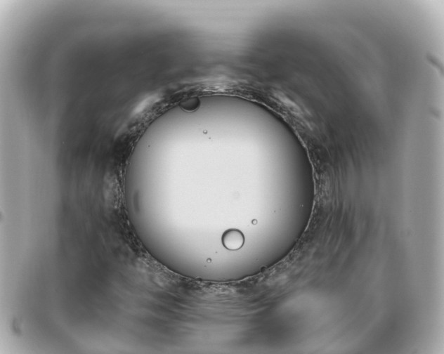 X0000096211446200801251024