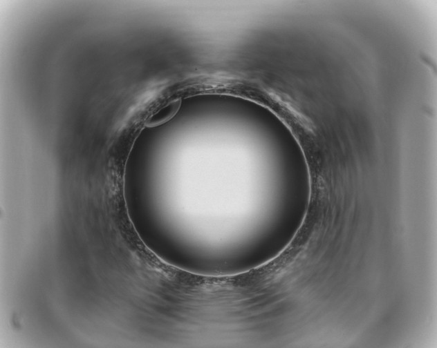 X0000096211447200801251024