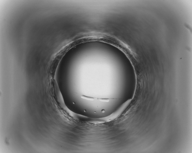 X0000096211448200801251024