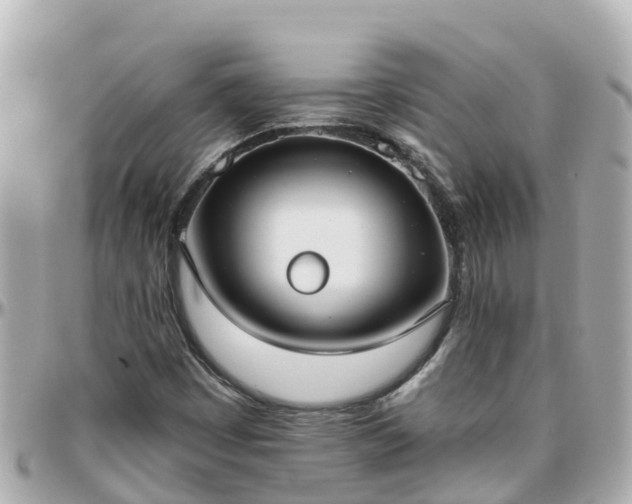 X0000096211449200801251024