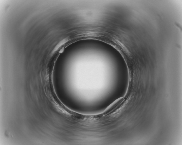 X0000096211450200801251024