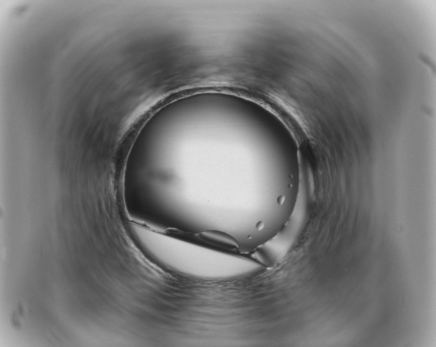 X0000096211452200801251023