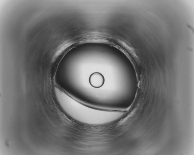 X0000096211453200801251023