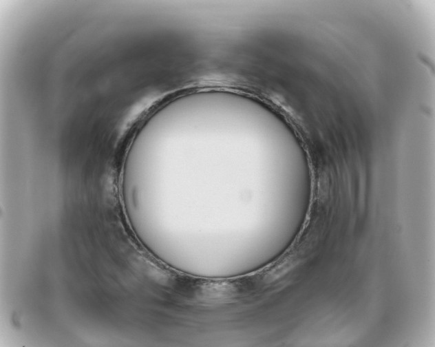 X0000096211454200801251023