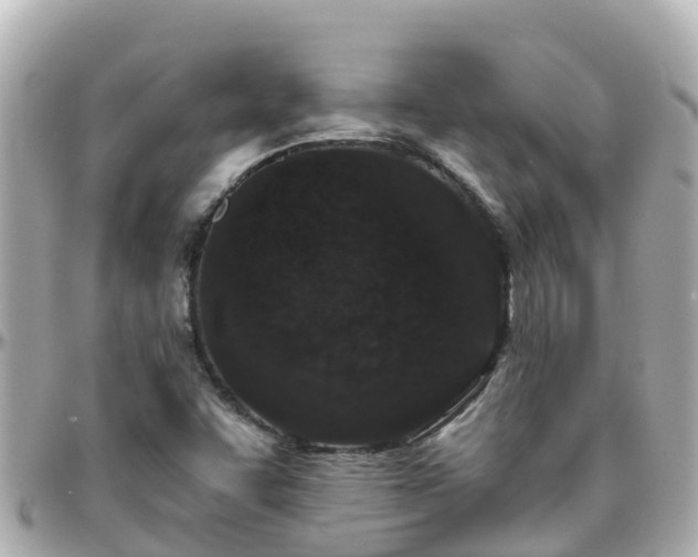 X0000096211455200801251023