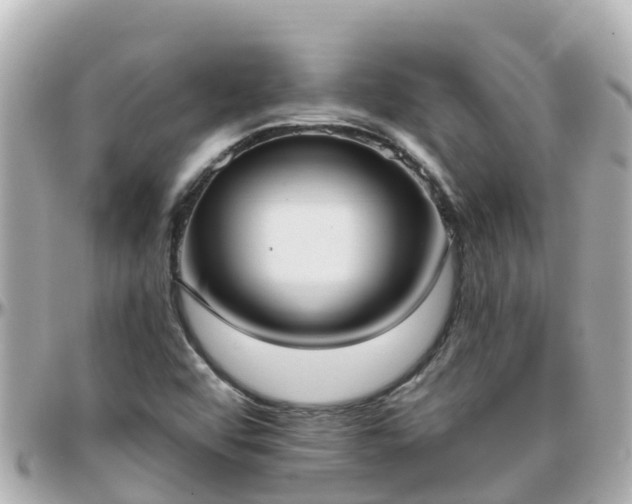 X0000096211456200801251023