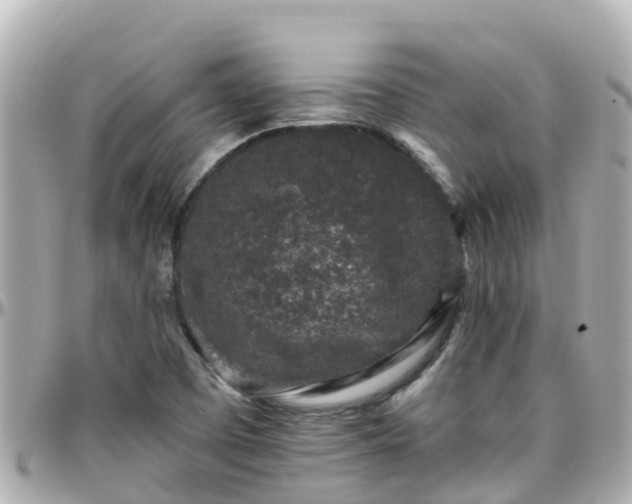 X0000096211457200801251023