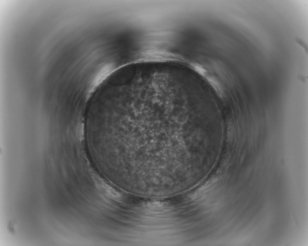 X0000096211459200801251023