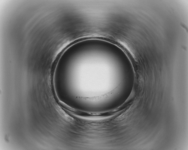 X0000096211460200801251023