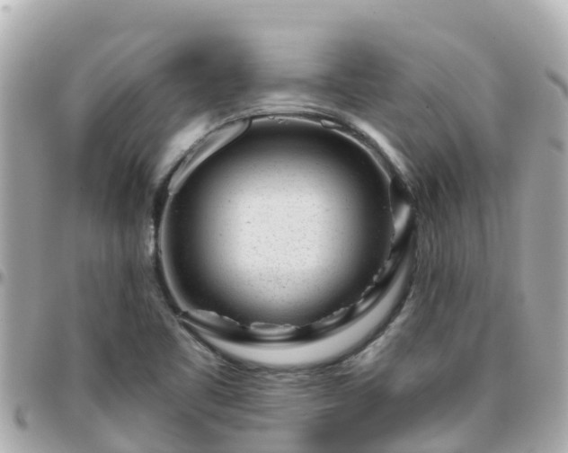 X0000096211461200801251023