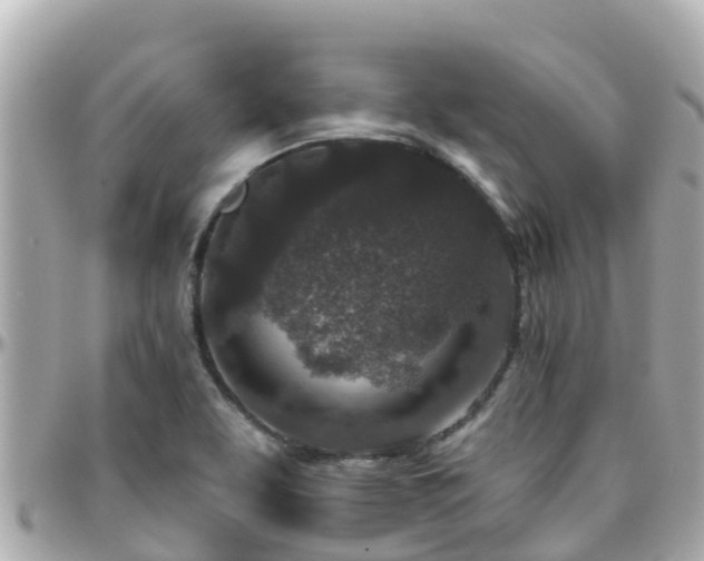 X0000096211463200801251023