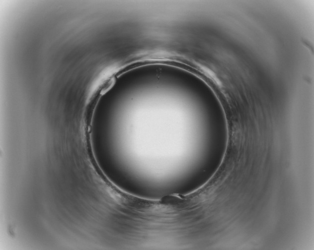 X0000096211464200801251023