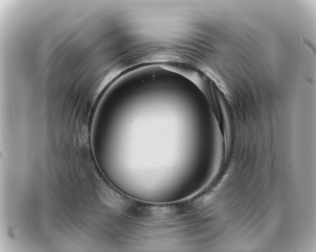 X0000096211465200801251023