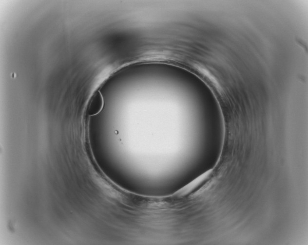 X0000096211467200801251023