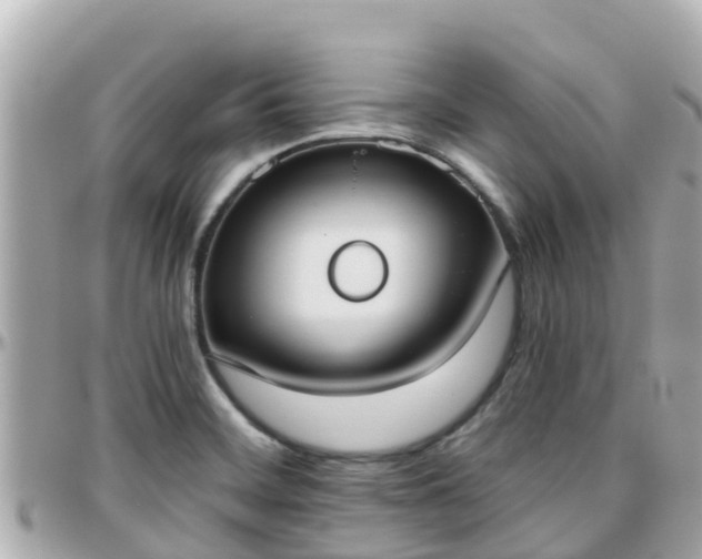 X0000096211468200801251023