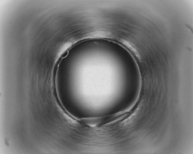 X0000096211469200801251023