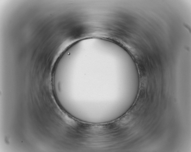 X0000096211470200801251023