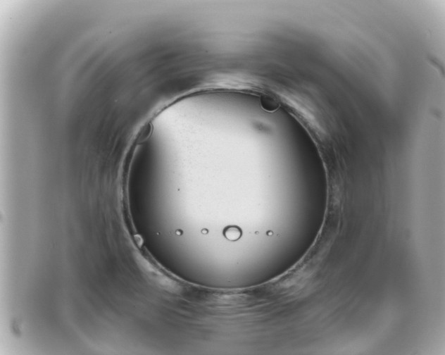 X0000096211471200801251023