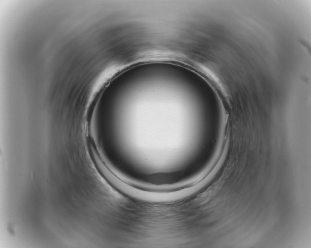 X0000096211472200801251023