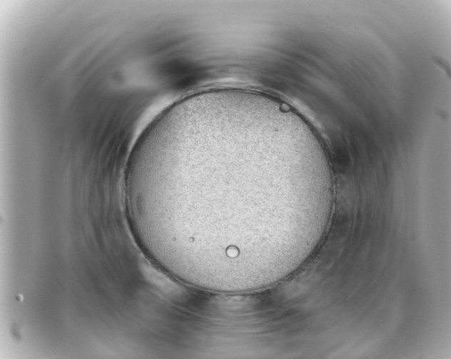 X0000096211474200801251023