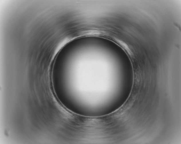 X0000096211475200801251023