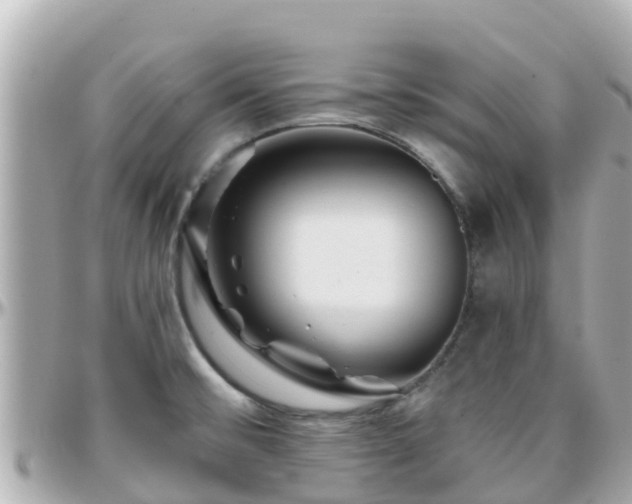 X0000096211476200801251023