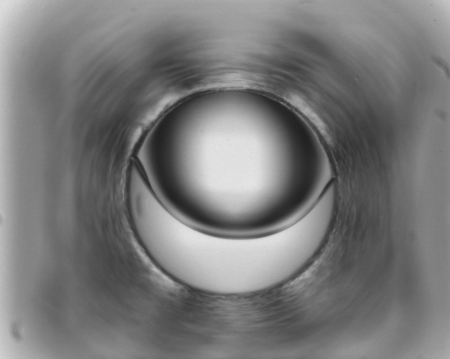 X0000096211477200801251023