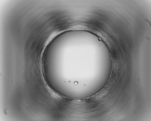 X0000096211478200801251023