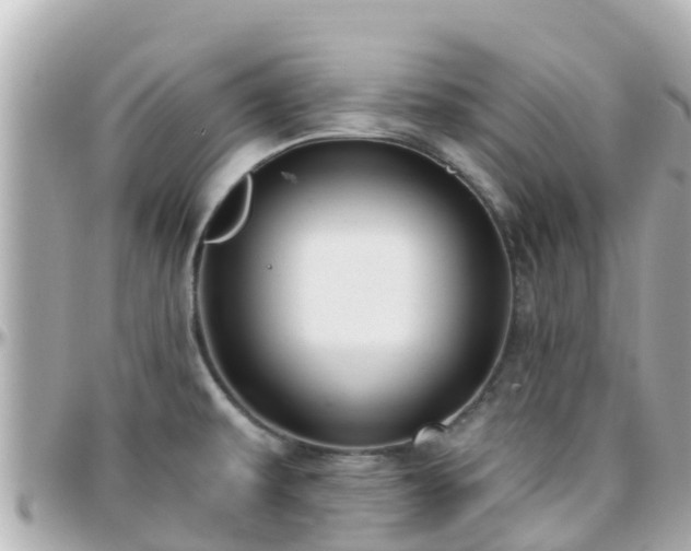 X0000096211479200801251023