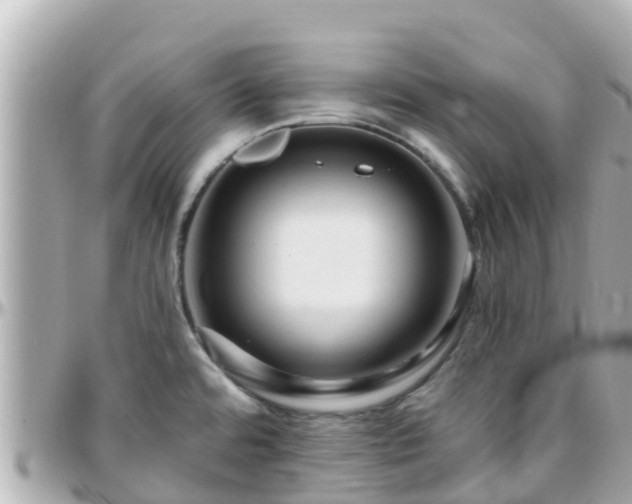 X0000096211480200801251023