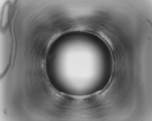 X0000096211481200801251023