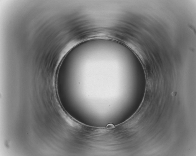 X0000096211482200801251023