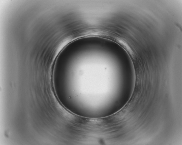 X0000096211483200801251023