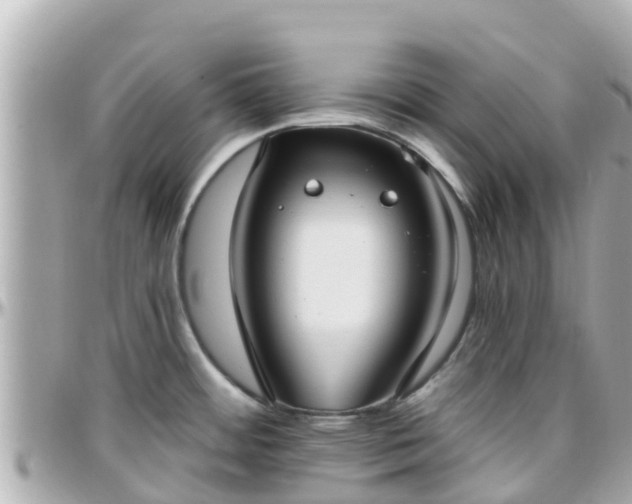 X0000096211484200801251023