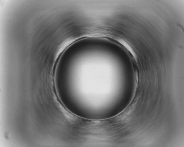 X0000096211485200801251023