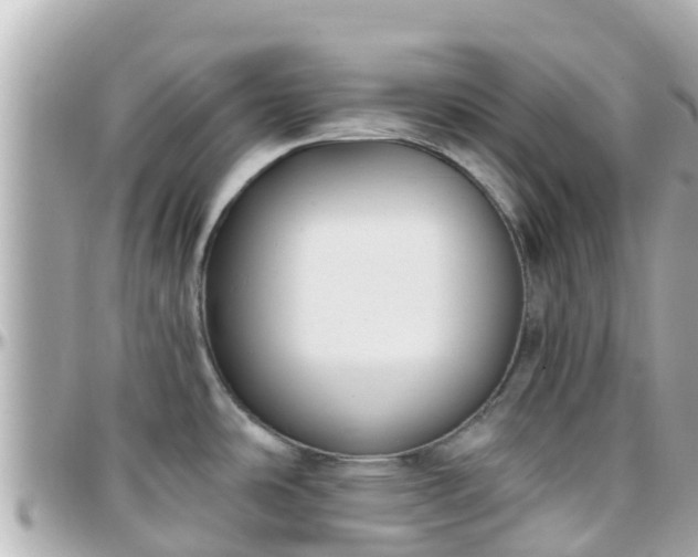 X0000096211486200801251023