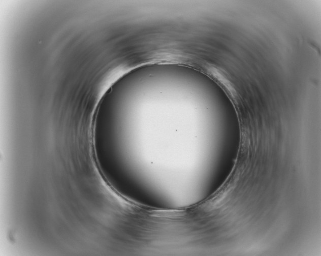 X0000096211487200801251023