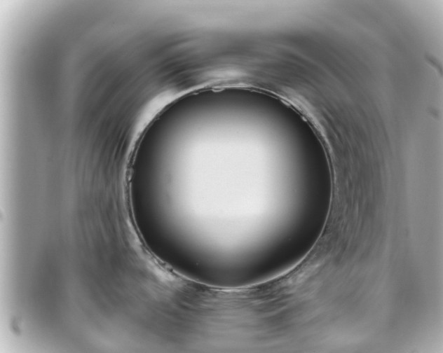 X0000096211488200801251023